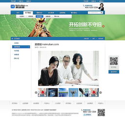 企業(yè)網(wǎng)站設(shè)計的藝術(shù)與策略 打造高效溝通的數(shù)字門戶