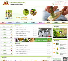 大連網(wǎng)站建設(shè)與設(shè)計服務(wù)全解析 新圖聞科技如何助力企業(yè)數(shù)字化轉(zhuǎn)型