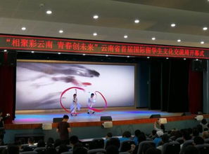 彩云之南喜迎五洲客，多元文化共繪同心圓——云南省首屆國際留學生文化交流周開幕