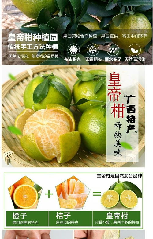 廣西皇帝柑 應季鮮果，薄皮多汁，整箱批發包郵到家